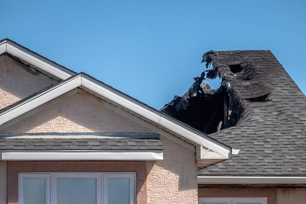 Top rated local Odor Removal specialists in Gainesville, VA